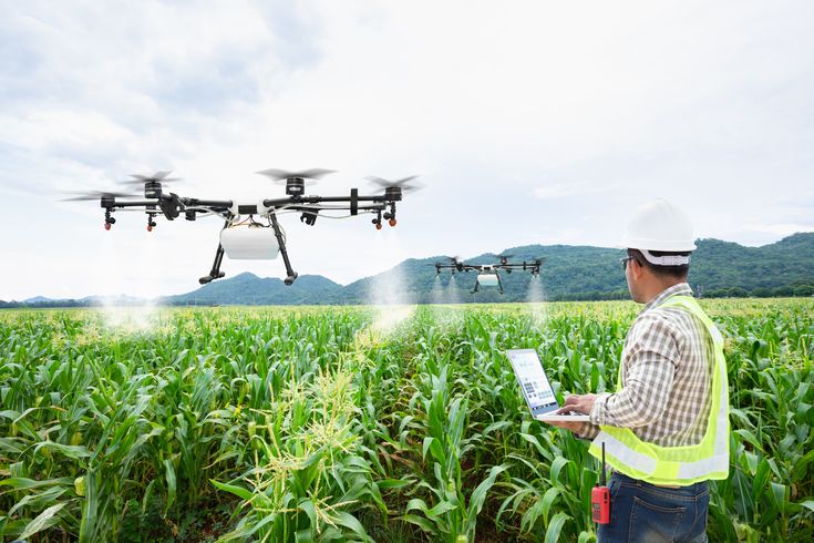 Innovation and Technology