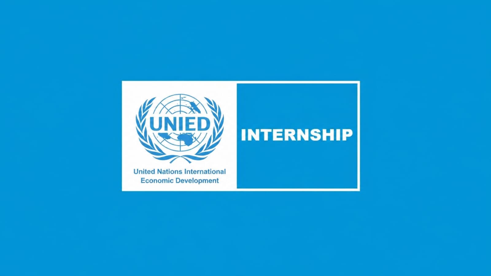 UNIED internship programme