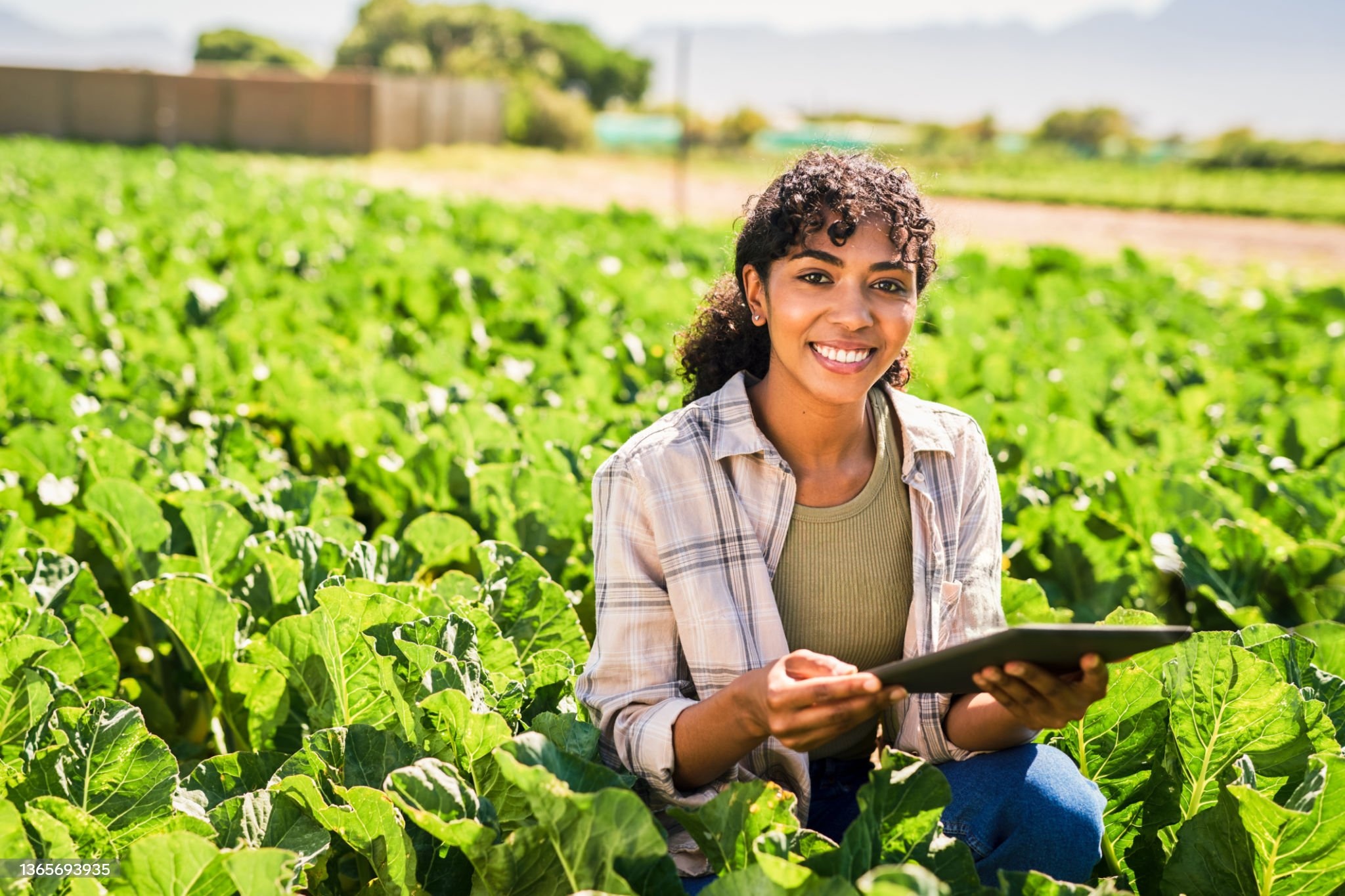 Women-Led Enterprises in Focus
